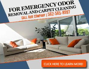Black Mold Remove - Carpet Cleaning Whittier, CA