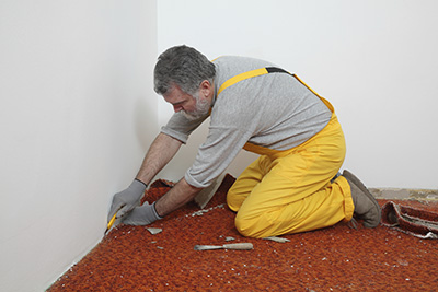 How to Kill Carpet Mold